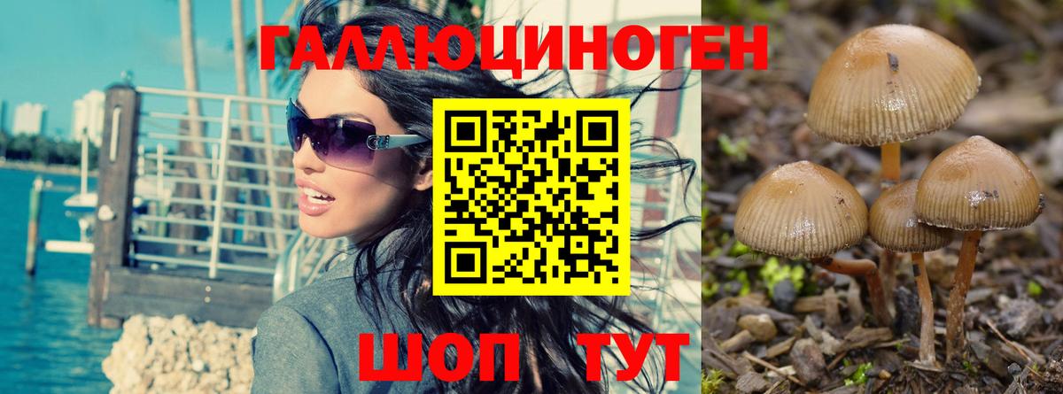 Галлюциногенные грибы MAGIC MUSHROOMS Корсаков
