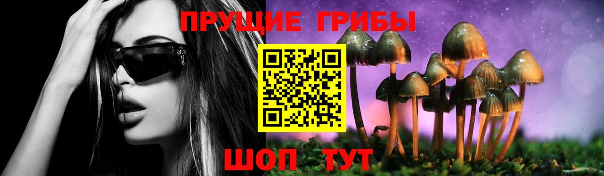 закладки  Вход с VPN  Корсаков  Псилоцибиновые грибы ЛСД  Псилоцибиновые грибы Magic Shrooms 